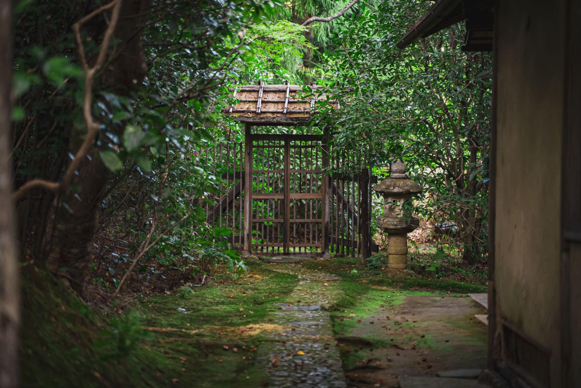 Bamboo forest path with stone lanterns in Kyoto